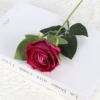 Little Vella Rose Red