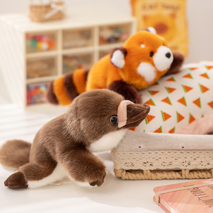 ����С��؈�����Në�q��ߴ��N�������Ќ���ż��������Ů���նY��