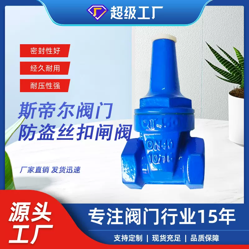 锁闭闸阀 软密封闸阀 螺纹防盗闸阀 球墨铸铁丝扣闸阀 厂家FDZ15X