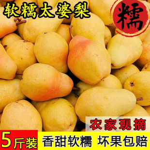 ���C�㽶��̫����ˮ�����r���^������ܛ�殔������ơ����]