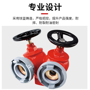 Fire Hydrant with Dual Valves and Dual Outlets, Pressure Reducing and Stabilizing Rotating Double-Head Fire Hydrant, Dual Valve Indoor Hydrant