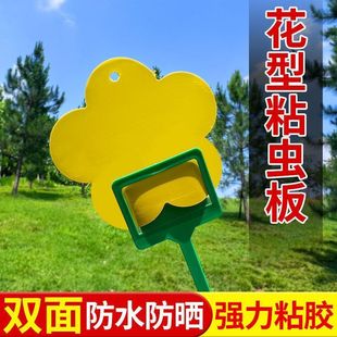 [Powerful Upgrade] Double-Sided Insect Trap Board with Flower Pattern for Household Orchards to Trap Fruit Flies with Yellow Board Flower Pattern Insect Trap Board