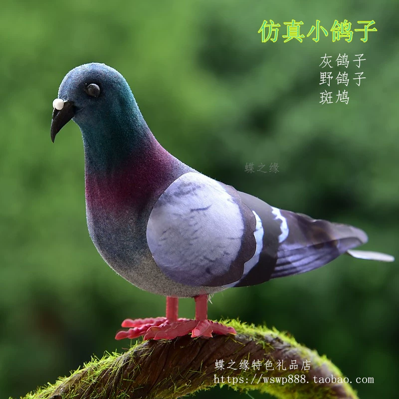 Модельная маленькая серая голубь-кукла Wild Pigeon Flower Pigeon Поддержка фотографии игрушечная реквизит 教学 aid 模拟 птица