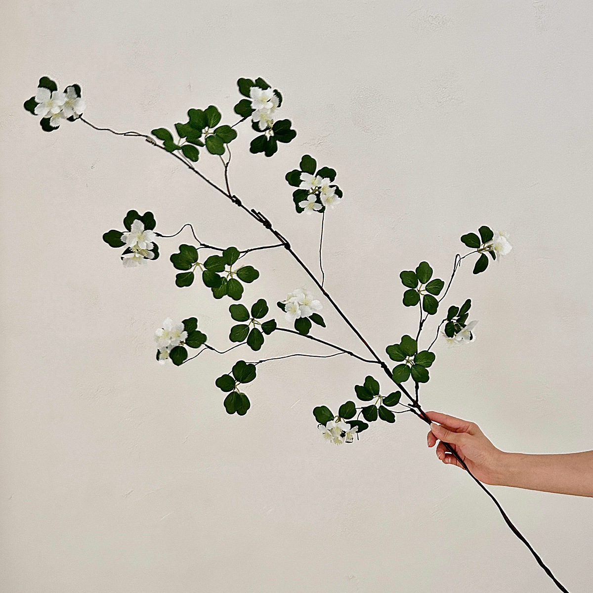 Gran albaricoque blanco