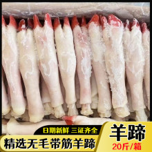 新鲜冷冻羊蹄生羊脚20斤40个左右生羊蹄清真内蒙羊蹄江浙沪皖包邮