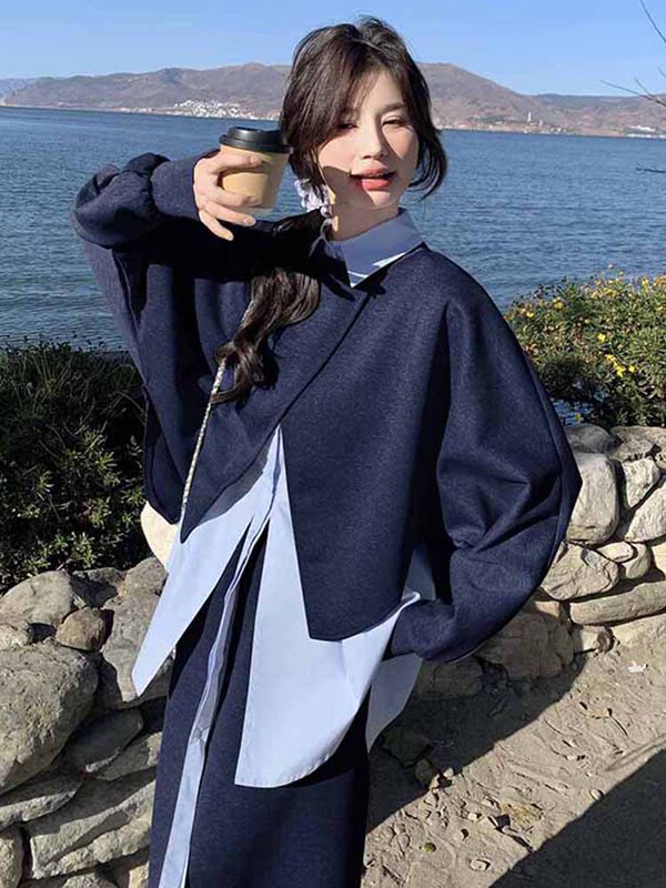 2025春季新款休闲百搭不规则设计感宽松卫衣马甲衬衫半身裙三件套|undefined