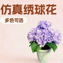 ���^�����辰���滨���l���F؛�����b����辰�͏d�[������