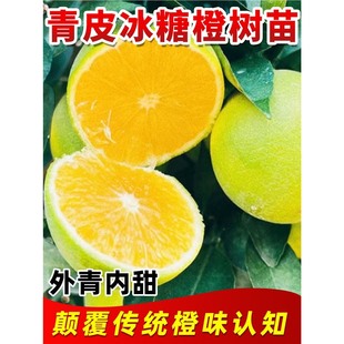 ��Ƥ���ǳ������o�ѳ��ӷ���Ѫ�����Ե����Ϸ�����ͥԺ�Nֲ����