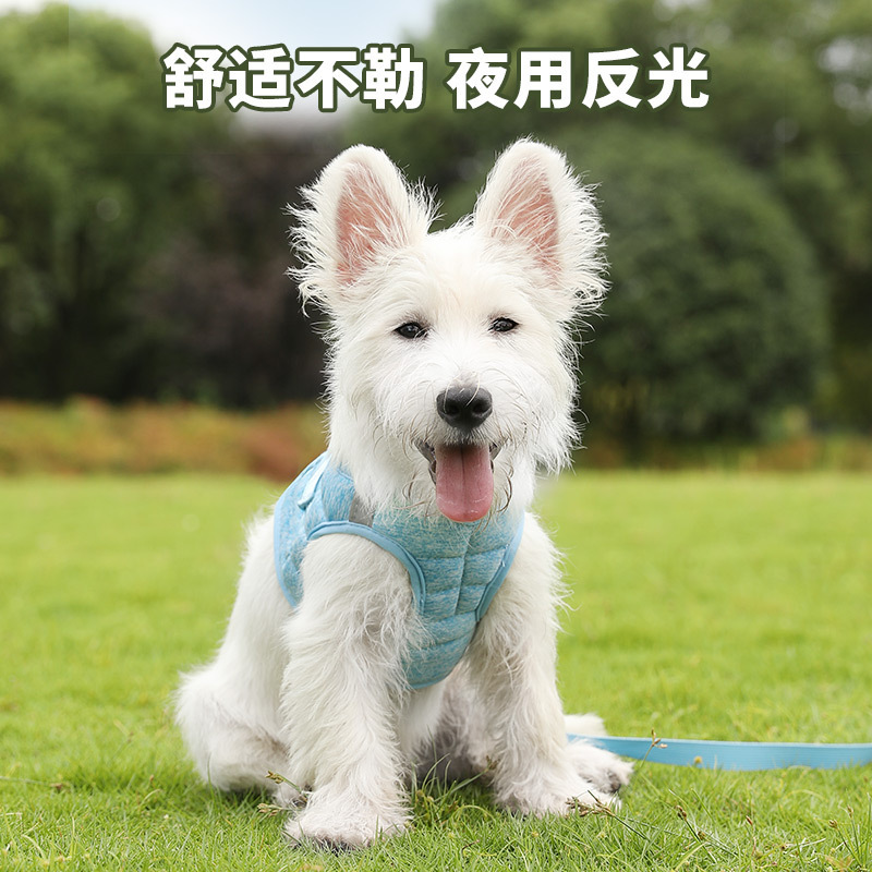 Correa de perro gatito chaleco reflectante correa de pecho correa de gato anti-rotura transpirable lindo Cadena de perro pequeño