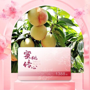 �o�aˮ���ҶY���Ⱥ�6.5-7.5��*6ֻ�b*2���̄��ͶYˮ������؛�Y��