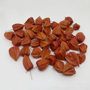 [Single Sour Berries] Dried Flowers Red Fruits Sour Berries Christmas Fruits Dried Flowers Decoration