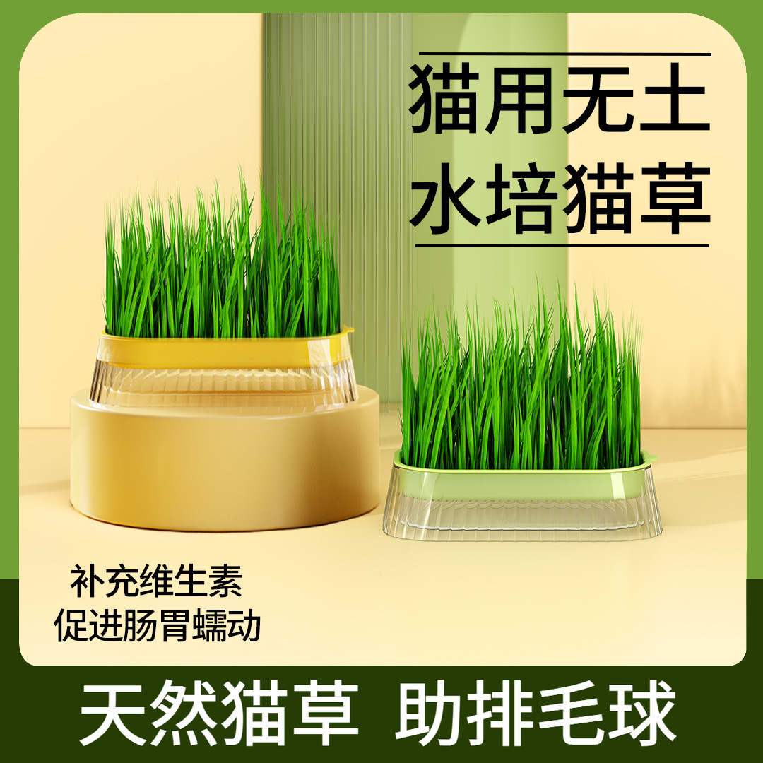 Cat grass hidroponía cat grass semilla set de plantación cat crema de pelo de eliminación de pelo bolas cat grass semilla cat snack cat menta