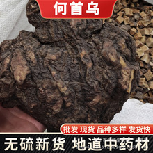 何首乌中药材批发现磨何首乌粉 何首乌丁生首乌制首乌炙首乌丁