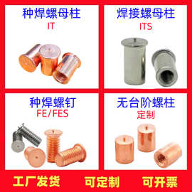 无头不锈钢种焊螺母柱镀铜IT/ITS  点焊不锈钢焊接种焊螺钉FE/FES