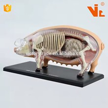 4D MASTER �������ƴ�bģ��DIY؈���̌Wչʾ���� �i �R ţ�u����