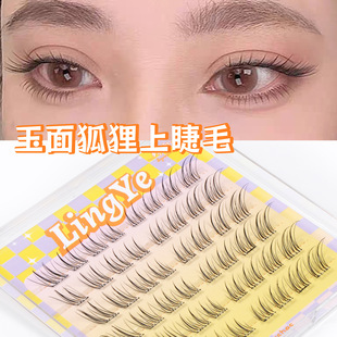 ��͸�������б�w�ٽ�ë��z�����w����Ȼ���L����ֶμ޽�����