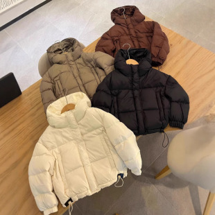 Children's down Jacket Huzhou Zhili Children's Clothing New Medium and Large Boys and Girls White Duck down Hooded down Jacket Foreign Trade Wholesale