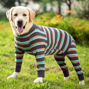 �¿���͹����·����_�½�ë���������_Ħ��ȫ���o�Ƿ���ë����