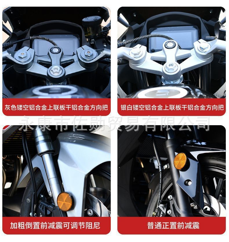 DaoLang dual-cylinder water-cooled heavy-duty street bike, high-displacement road racing motorcycle, can be registered, with Euro 4 standard and electronic fuel injection