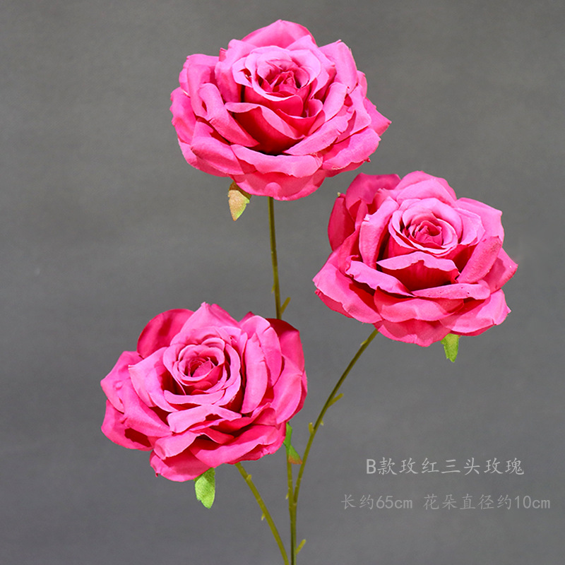 B estilo rosa roja de tres cabezas Rose