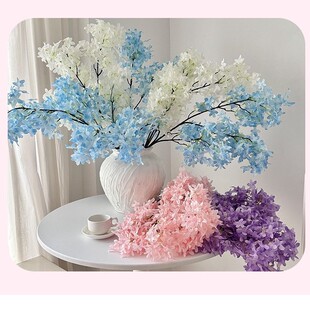 ������ܶ��㻨����ѻ������Ҿӿ͏d�[����Y�û�c����bٻ�