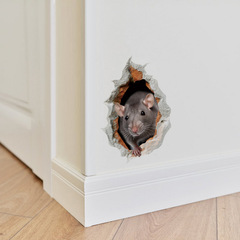 Amazon CH15001 Cartoon Little Mouse Breaking Wall Children's Bedroom Corridor Skirting Board Home Decoration Self-Adhesive 