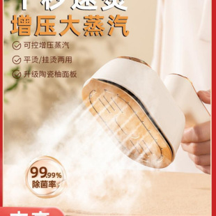 Zhigao Handheld Steam Garment Steamer Ironing Machine for Home Use, Small Electric Iron for Ironing Clothes, Portable Iron