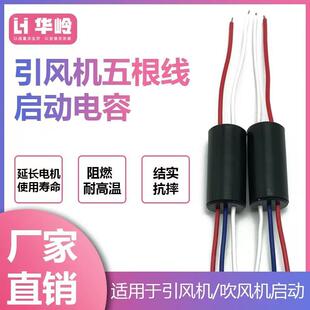 �����L�C���L�C������������ �����L�C�������