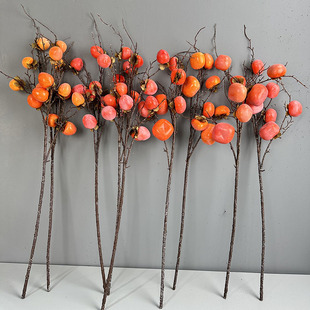 �������ӹ� ˮ�����滨���ԼҾ��b��������Gֲ����8������֦