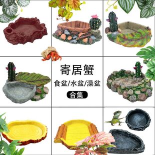 �ľ�зˮ��ʳ���֬�쾰�p���aˮ�����������ˮ�����๦�ܶ���һ