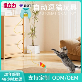 伊丽莎白圈;宠物项圈;狗狗食具