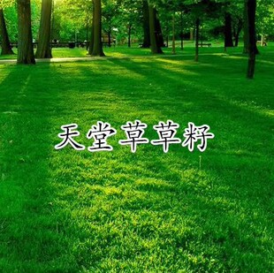 ���òݷN�Ӳ�ƺ�N�Ӱ�Ľ��������`̤�����ԏ��|�����C�lѿ�ʸ�