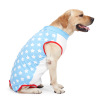 Cross -border dog clothing cats and dog pets are easy to wear dogs after wearing dogs, weaning high bombs, rehabilitation, dog clothes