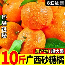 ɰ���ٱ����V������ɳ�ǽ۱�Ƥ�۽�����10�bˮ���������l5��