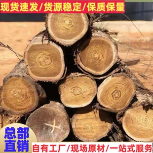 �S�����l��ľԭľ ����ľ �S�İ� ���ľ ��ľ�Ҿ��� �۲���