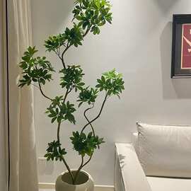 假绿植轻奢鸭脚木盆栽室内仿生直播间落地摆件