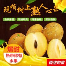 �������r���Ĺ��ЋDˮ���˅����a�}�a�����@�Fժ���]