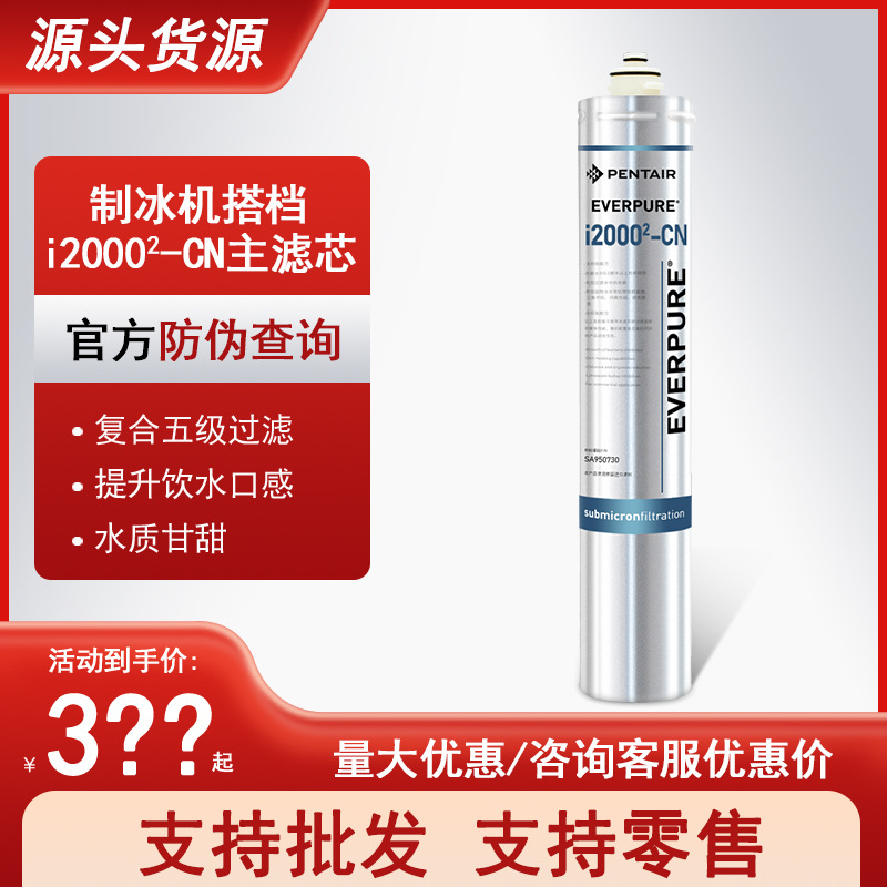 爱惠浦I20002-CN替换滤芯  净水器替换滤芯 EV9612-22 美国品牌