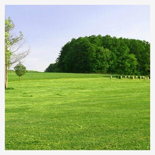 �ļ����ƺ�N�����òݷN�ӹ������N���R��������̸���éͥԺ�G��