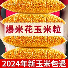ӰԺ���׻����������������������α��׻�ԭ�ϱ������׶���������