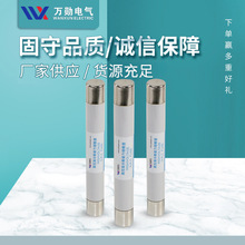 �f��10-35KV�߉��۹���о XRNP-12 0.2/0.5 3.15 A�߉������۔���