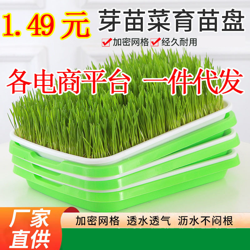 Seedling plate a batch of bean sprouts germination artifact hydroponic vegetable seedling pot pea seedling planting tray sprouts vegetable pot Seedling plate a batch of bean sprouts germination artifact hydroponic vegetable seedling pot pea seedling planting tray sprouts vegetable pot