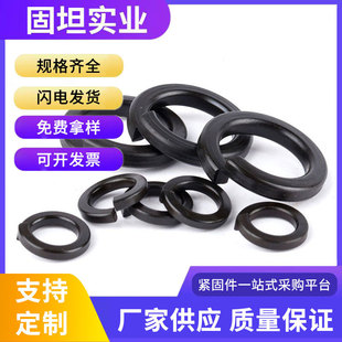 8.8���ߏ������Ə��|Ӣ�Ə��|Ȧ���ˏ��ɉ|Ƭ�����Ӊ|Ȧ1/4~1-1/2