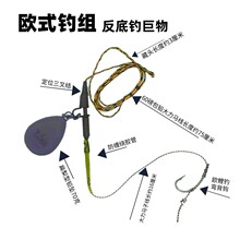 欧式包铅线钓组扁梨形喷砂铅坠海竿抛竿欧鲤钓前导线组鱼钩套装