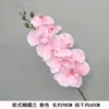 Европейский фаленопсис, светло-розовый