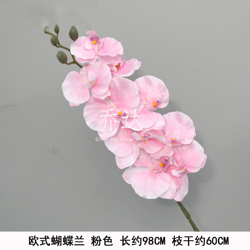 European-style Phalaenopsis Light Pink