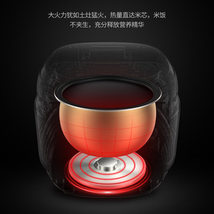 Rice Cooker Household Fully Automatic Mini Multi-Function Intelligent Reservation Rice Cooker 3L4L5L Liter Factory Direct Sale