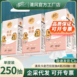 抽纸;卫生纸/卷纸;湿巾纸