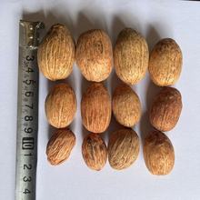 ˇԴ�ɻ�ľâ�� ��Ȼ������������Ĕz�����ֹ�diy������Ĵ���