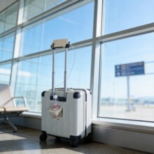 �M��������С�͵ǙC��18�����w�C2026�¿����U��;�����ܴaƤ��